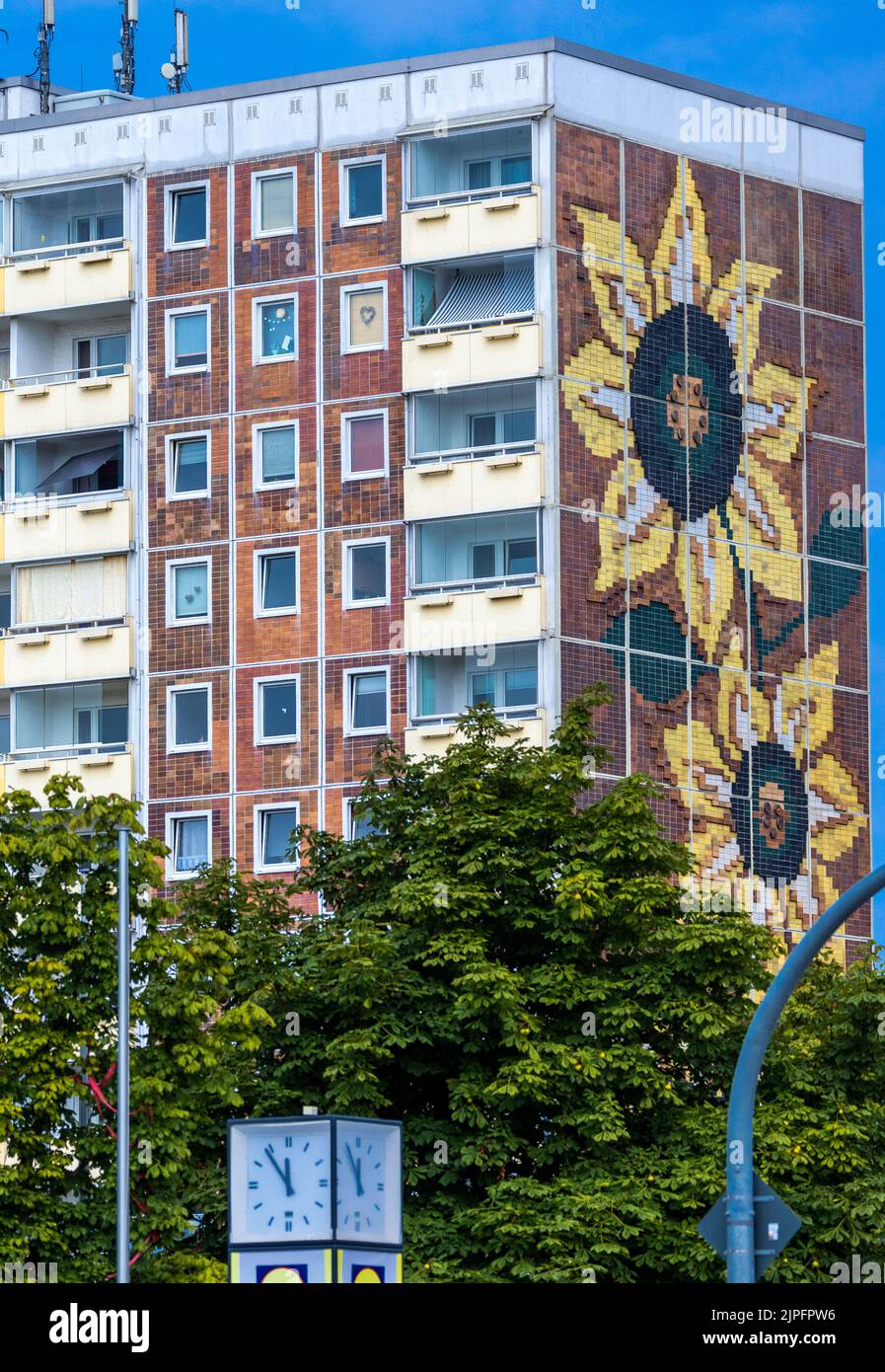 Rostock, Germany. 16th Aug, 2022. View of the Sunflower House in the