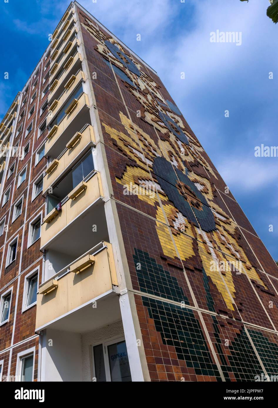 Rostock, Germany. 16th Aug, 2022. View of the Sunflower House in the Rostock district of