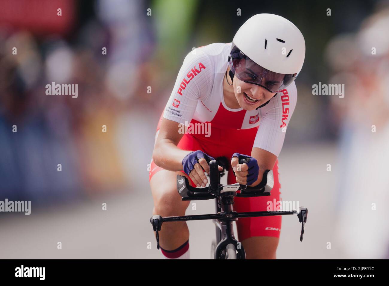 Agnieszka skalniak sojka hires stock photography and images Alamy