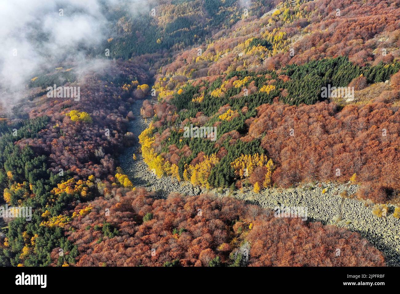 An aerial view of a beautiful forest with colorful trees in fall Stock ...