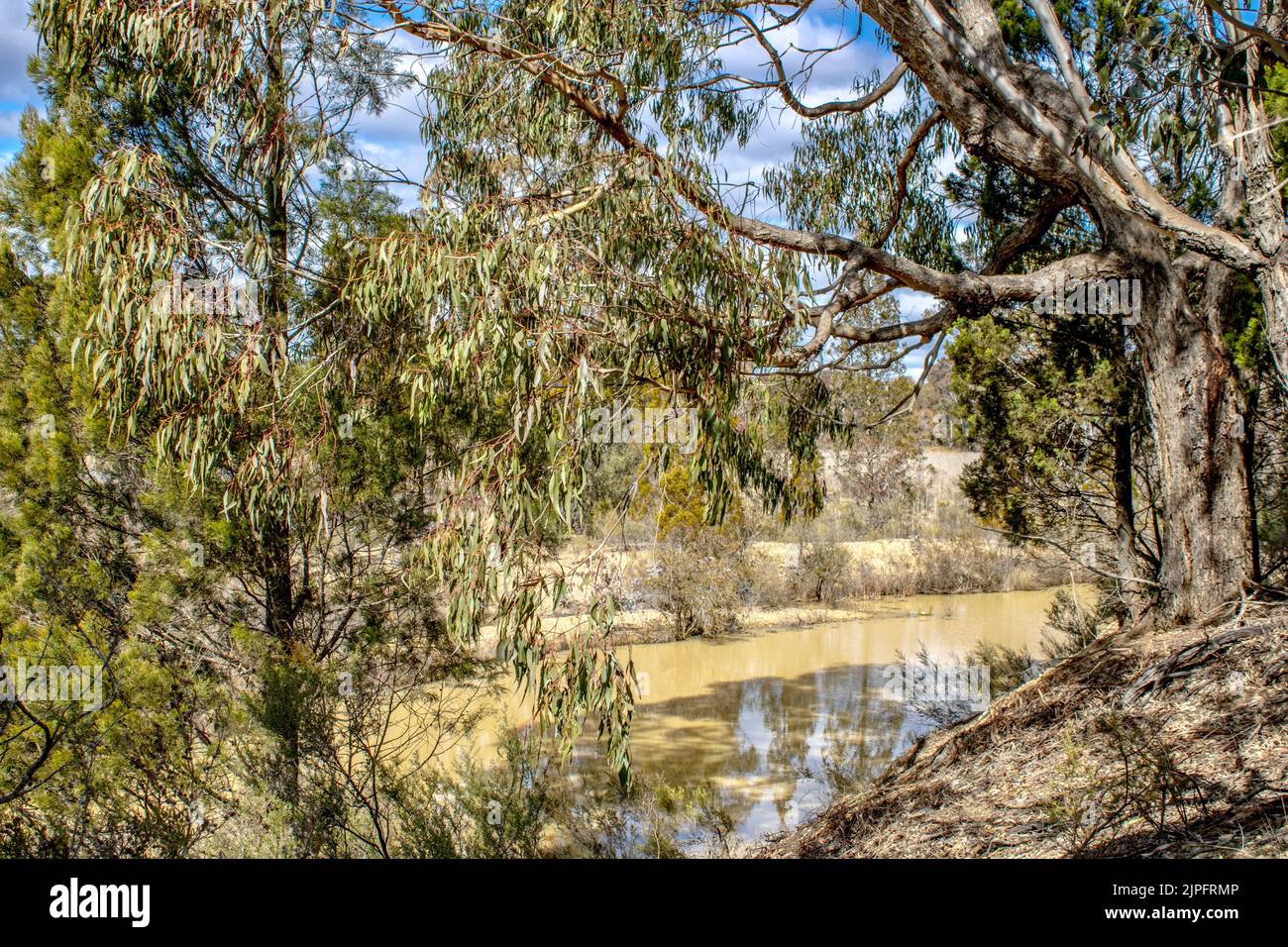 Beautiful View of a pond in dense Bushland in the Rural Area of Emmaville, New South Wales Austr Stock Photo