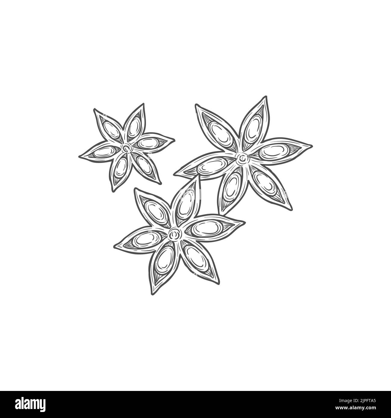anisestar-stock-vector-images-alamy