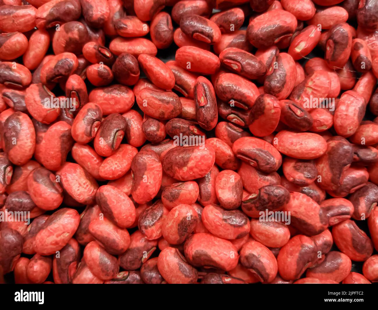 Indian hybrid black-eyed beans seeds for farming best variety Stock ...