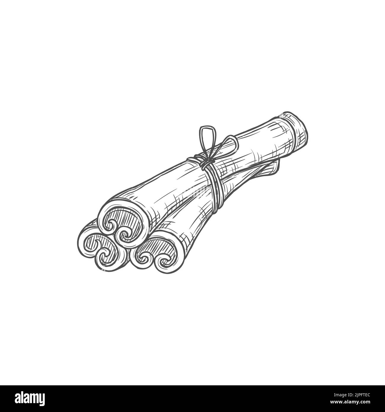 Rolled cinnamon sticks isolated culinary condiment monochrome sketch icon. Vector scented plant, Cinnamomum verum tree bark, spa aromatherapy. Flavoring seasoning, dry rolled spicy bakery ingredient Stock Vector