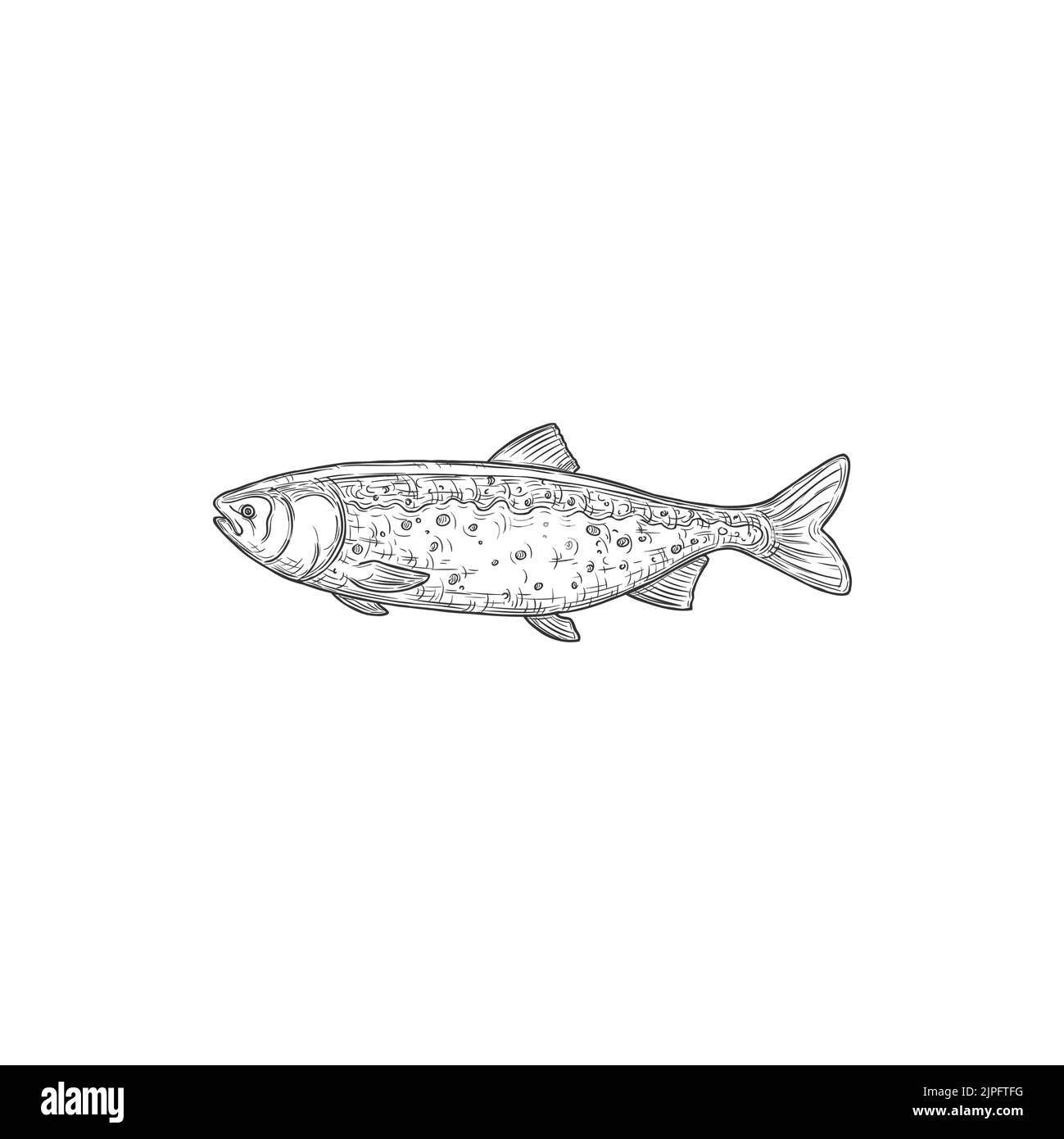 Mackerel bluefish mascot isolated monochrome icon. Vector tuna fish hand drawn fishing sport emblem. Tunnus atlantic sardine, horse mackerel with flounders. Scombridae saltwater fish, aquatic animal Stock Vector