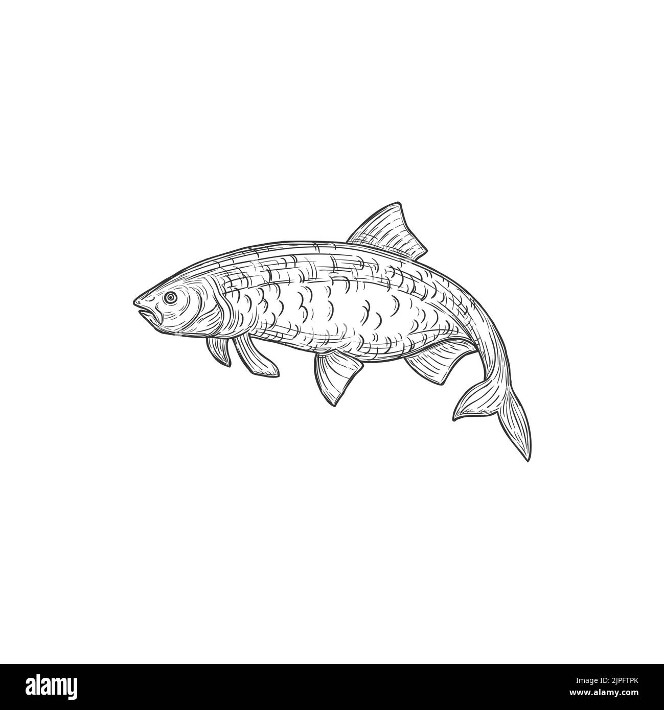 Aleck Stock Vector Images Alamy
