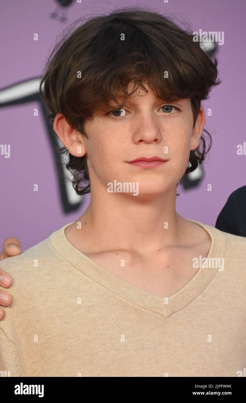 Cologne, Germany. 13th Aug, 2022. Actor Timothy Scannell comes to the premiere of the children's film ' My Lotta life - Everything Tschaka with alpaca ' which starts on 18.08.2022 in the cinemas Credit: Horst Galuschka/dpa/Alamy Live News Stock Photo