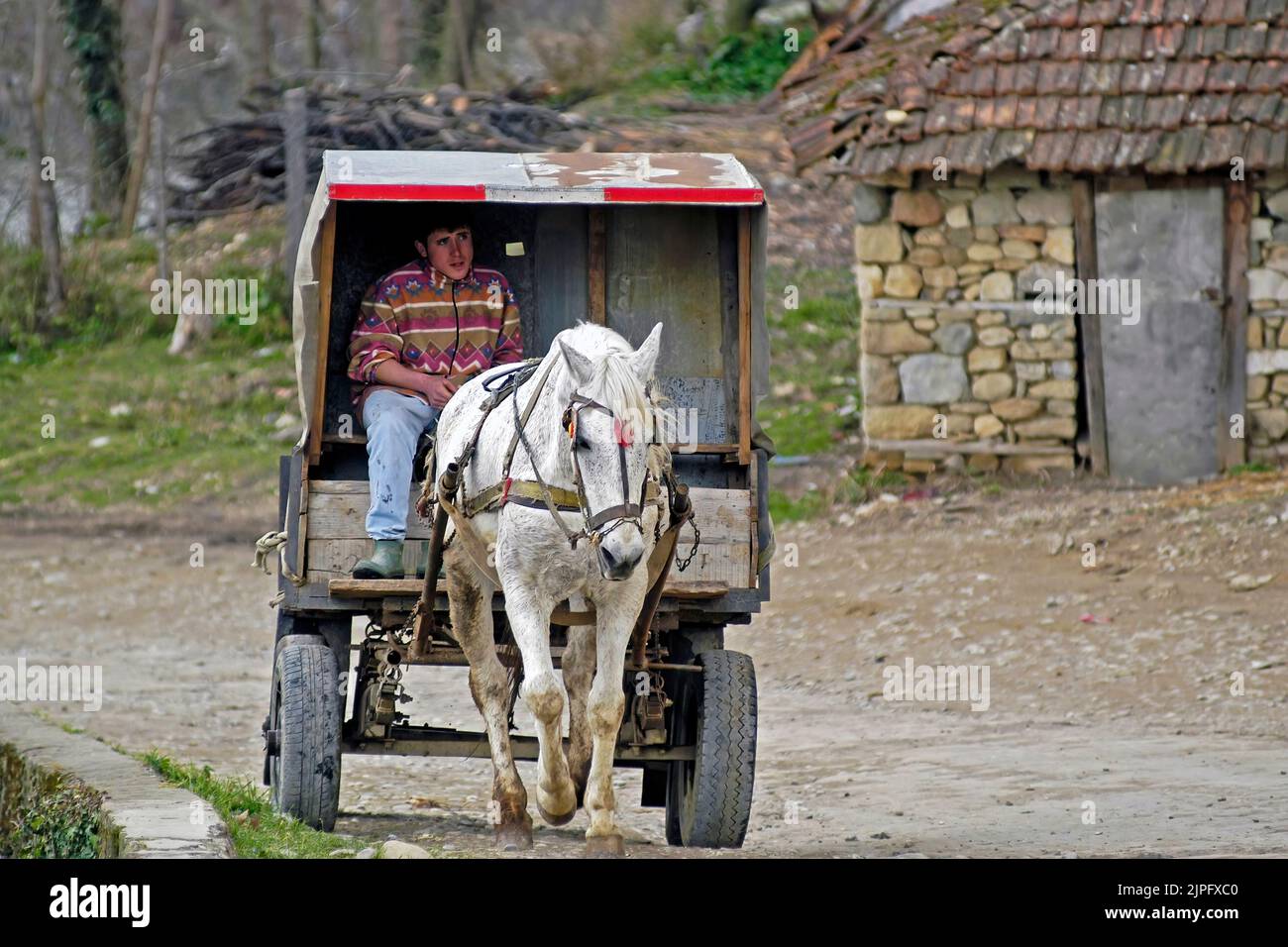 Horse and cart, rural Albania Stock Photo