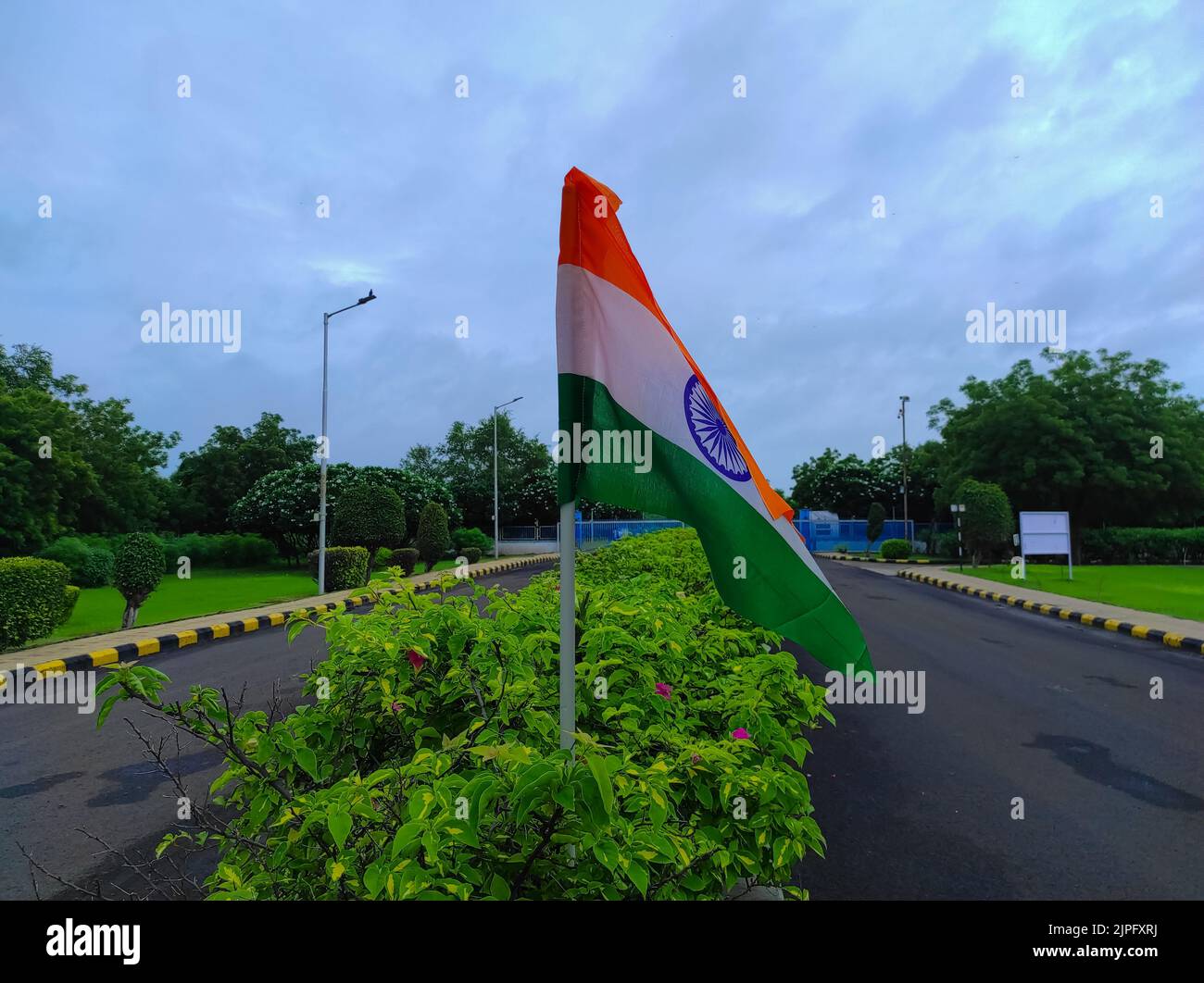 A Indian flag is planted along the trees of the road divider Stock Photo