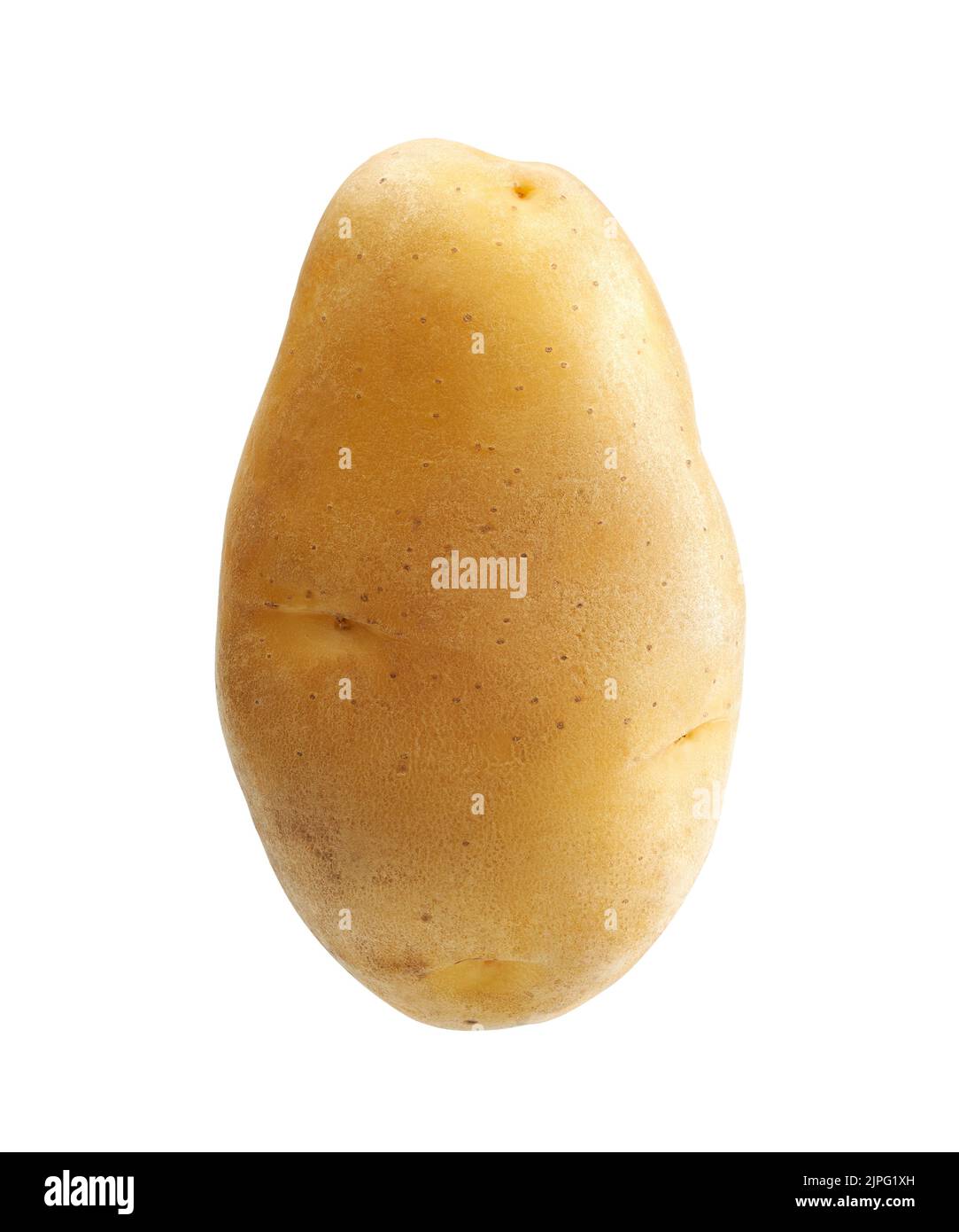 Unpeeled raw potato isolated on white background -  Clipping Path included Stock Photo