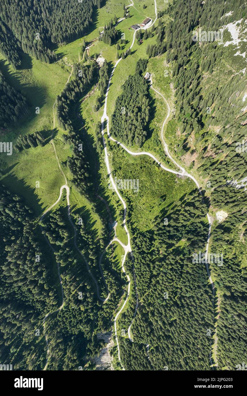 bird's-eye view of the musauer alm with lush green meadows, forests and winding hiking trails in beautiful tyrol Stock Photo
