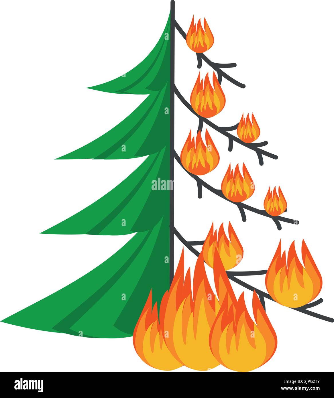 Burning forest spruces in fire flames, nature disaster concept illustration, poster danger, careful with fires in the woods, isolated Stock Vector