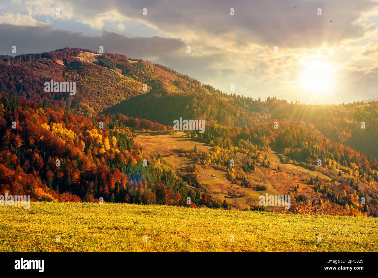 mountain landscape in autumn at sunset. wonderful countryside with trees in colorful foliage and grassy meadows. sunny nature scenery in evening light Stock Photo