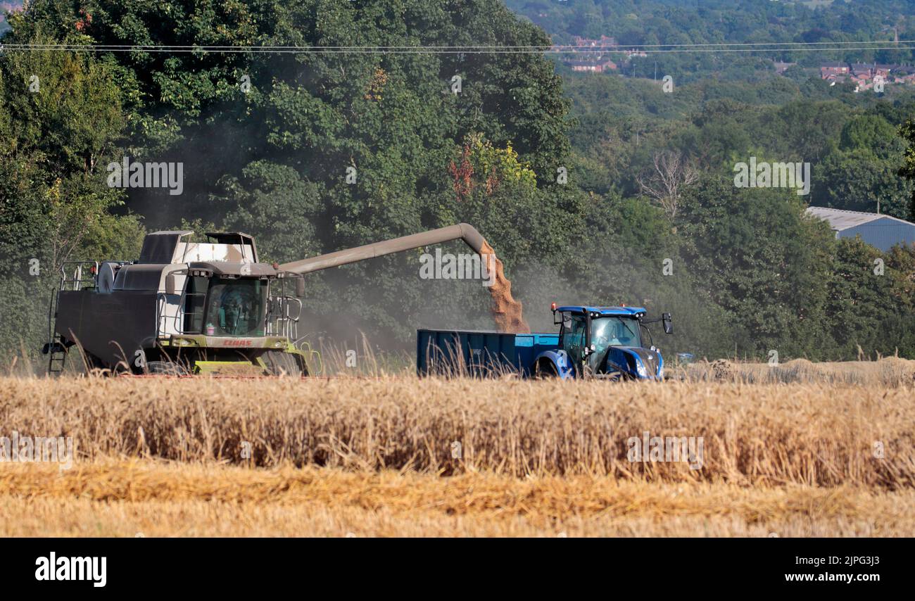 Combine Harvester and Tractor at Work, Coedpoeth, Wales Stock Photo