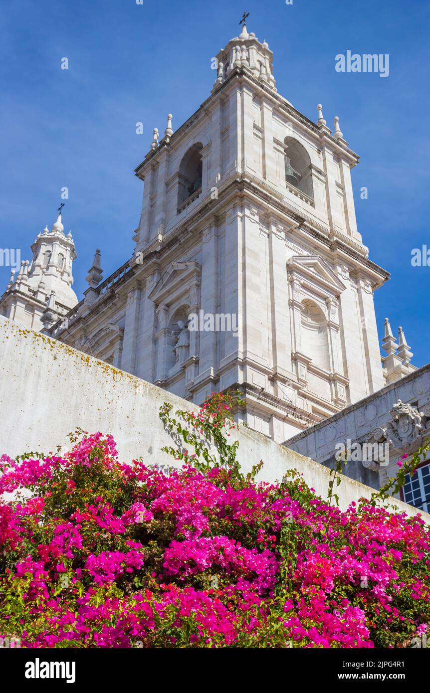 Pink flowers in front of the Sao Vicente church in Lisbon, Portugal Stock Photo