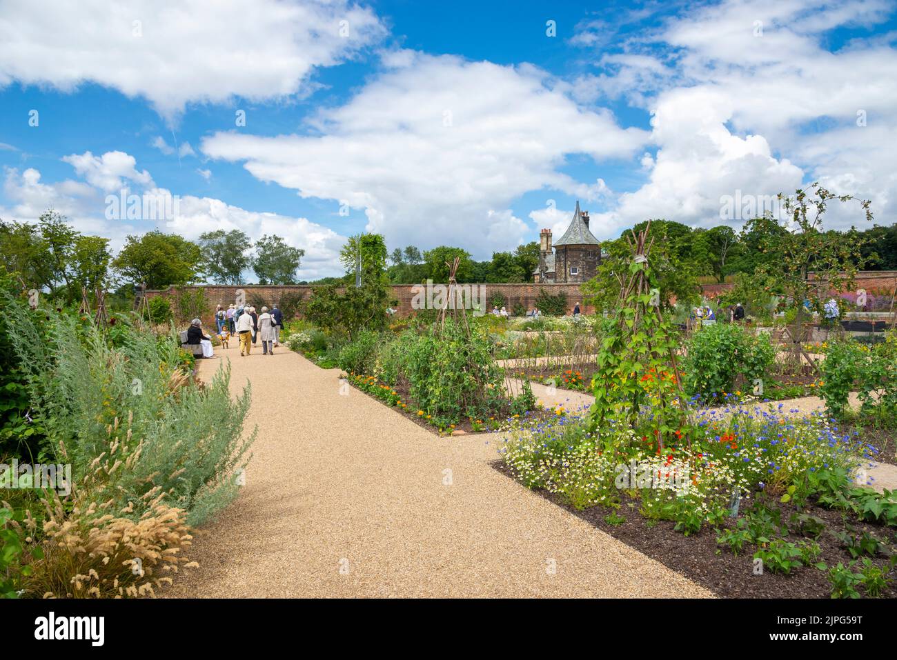The vegetable garden at the new RHS Bridgewater, Greater Manchester, England. Stock Photo