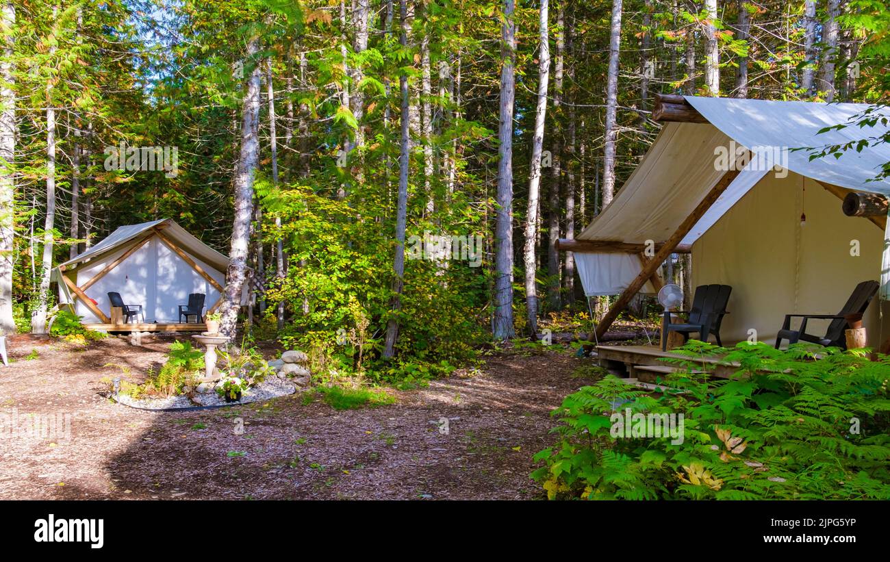 Tent in the forest, Safari tent in the woods, forest with a tent at