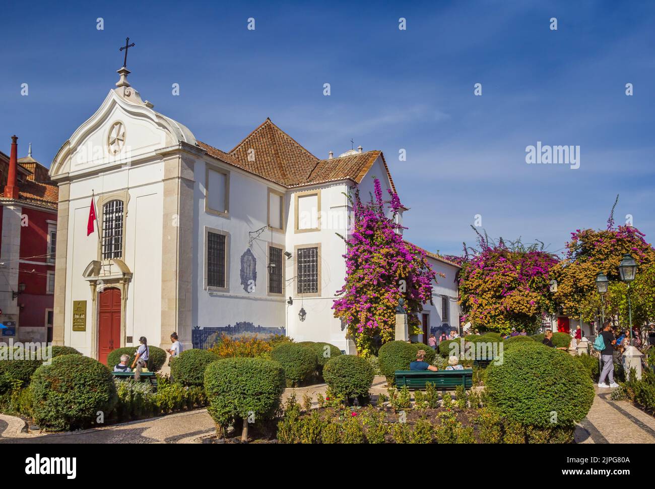 Pink flowers in the garden of the Santa Luzia church in Lisbon, Portugal Stock Photo
