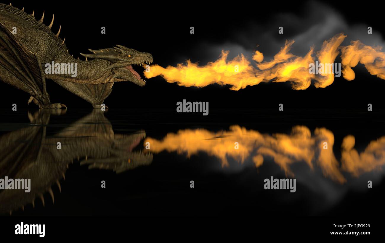 Realistic dragon breathes fire on a black background on a reflective