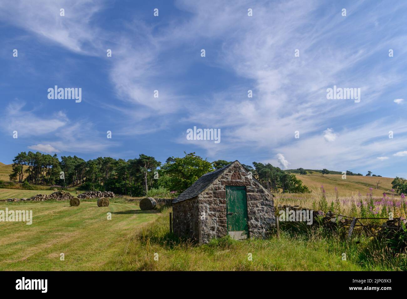 Borders landscape at Halmyre Mains near West Linton in The Scottish Borders Stock Photo
