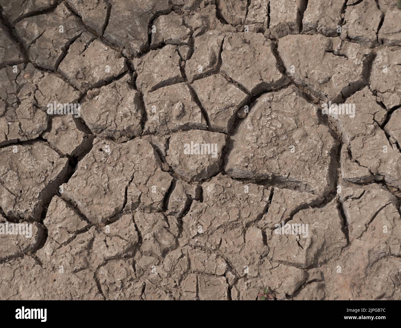 dried out dark soil with a lot of texture from a dried up lake Stock Photo