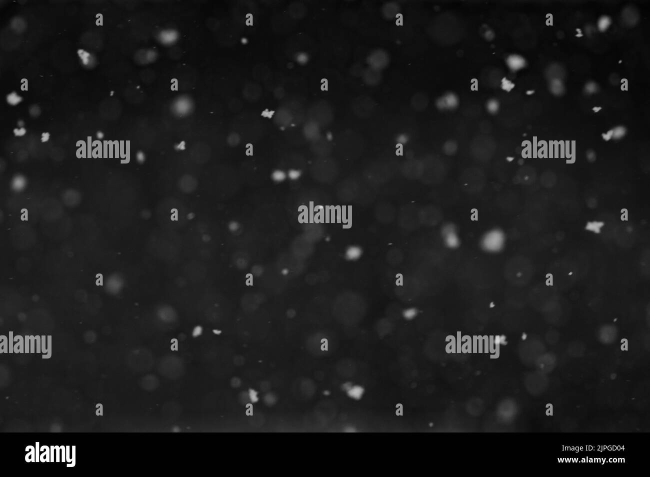 Animated wallpaper Black and White Stock Photos & Images - Alamy Animated wallpaper Black and White Stock Photos & Images - Alamy
