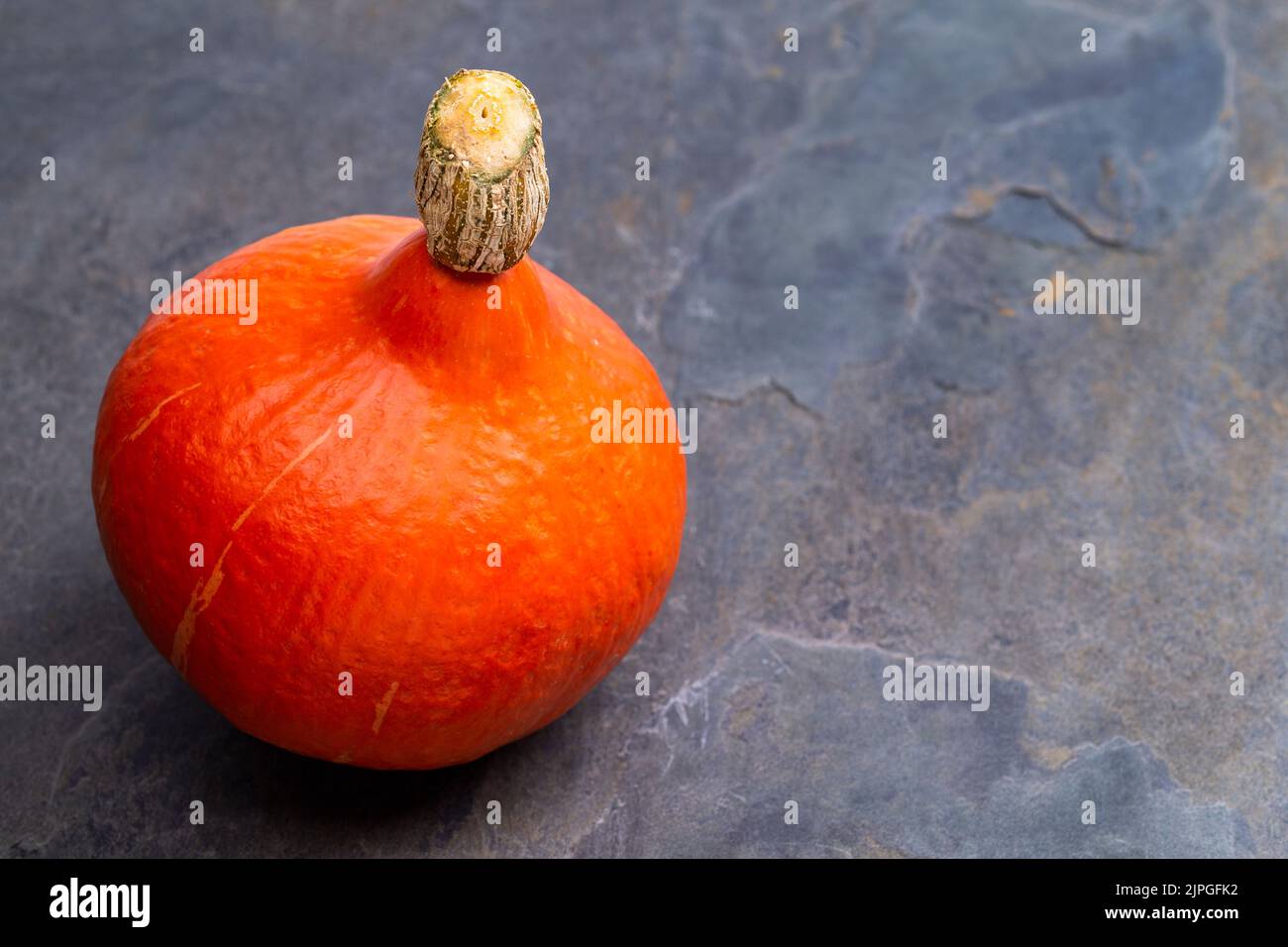 squash, kabocha squash, edible gourd, squashs, kabocha squashs, edible