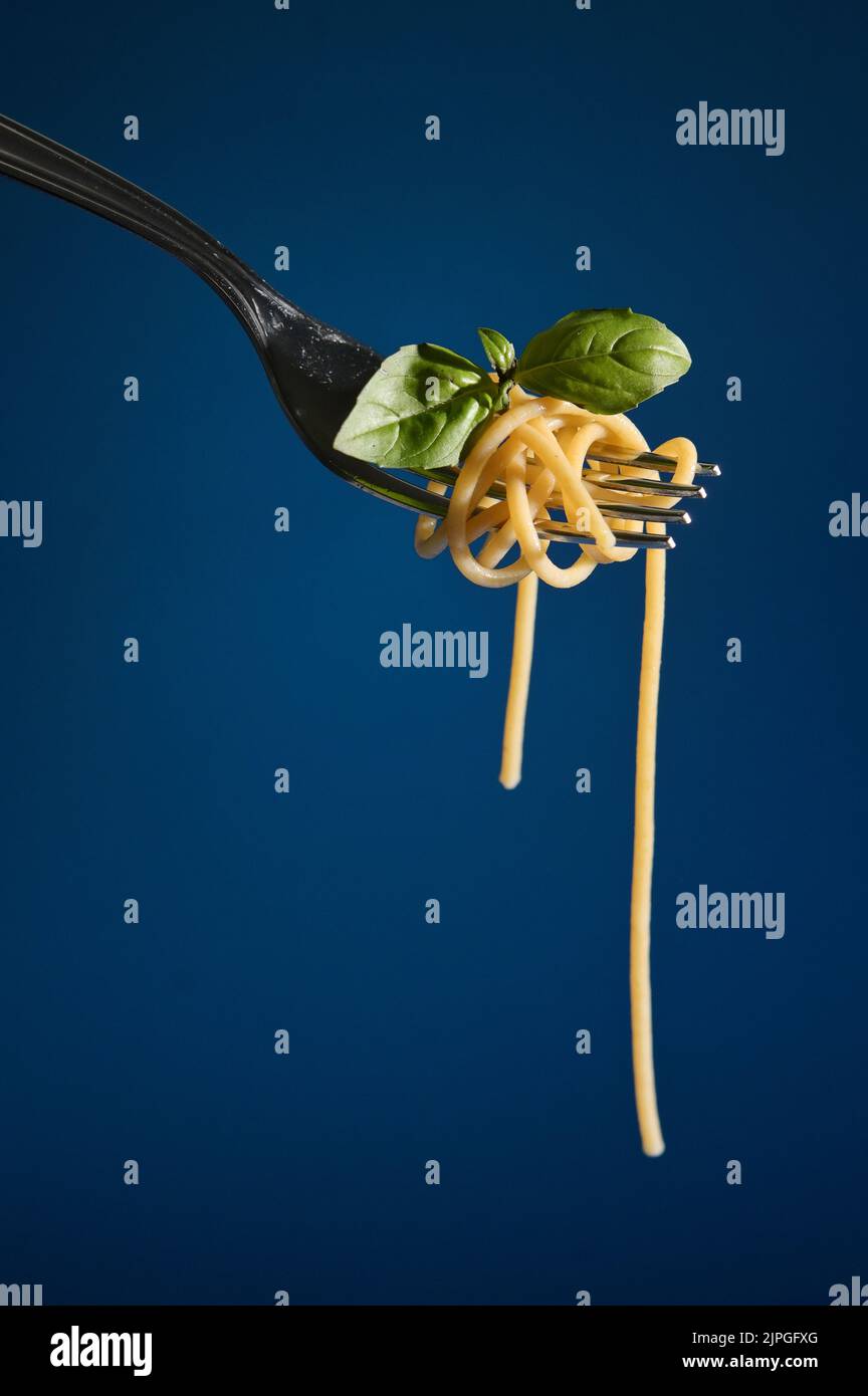Abstract Closeup Spaghetti Pasta on Fork and Basil leaf Stock Photo Alamy