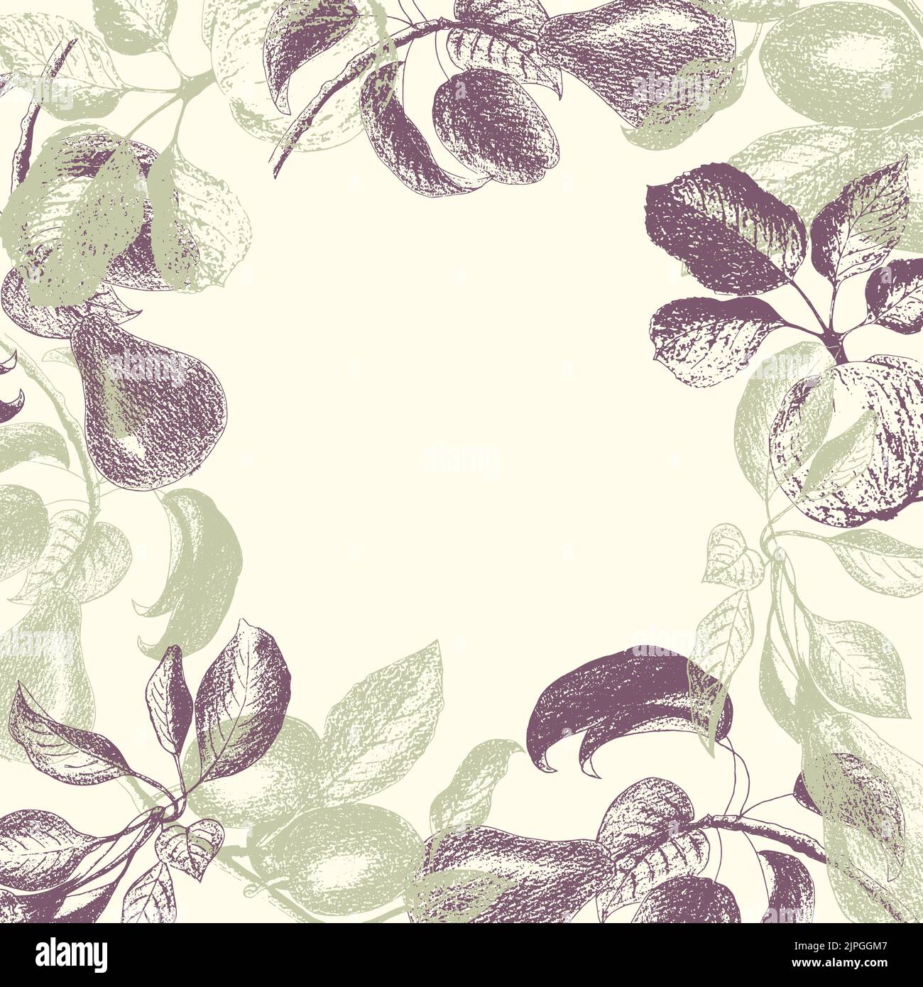 Fruity Template for inserting an inscription with fruit plum apple pear. Stamps, engravings. Engraved style of different kinds of fruit banner. Vector illustration Stock Vector