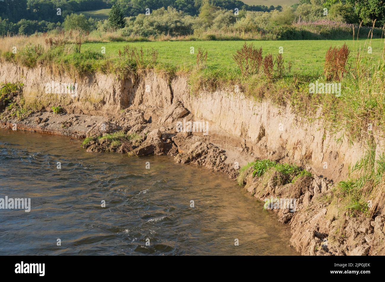River bank eroding on the River Twoy, Carmarthenshire, Wales, UK Stock Photo
