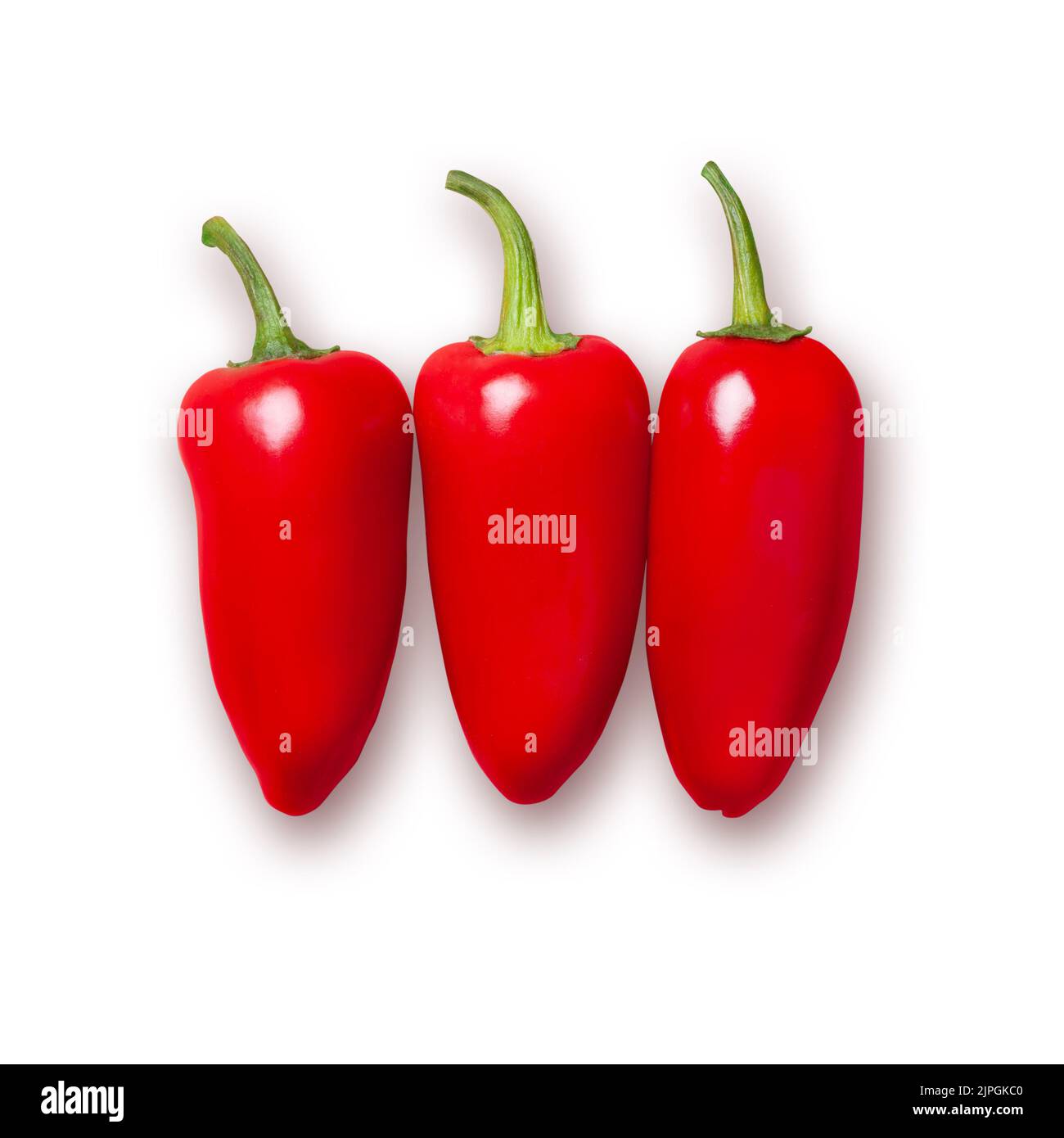 bell-pepper-jalapeno-pepper-jalape-o-paprika-jalapeno-jalapeno-peppers-pepper-stock-photo
