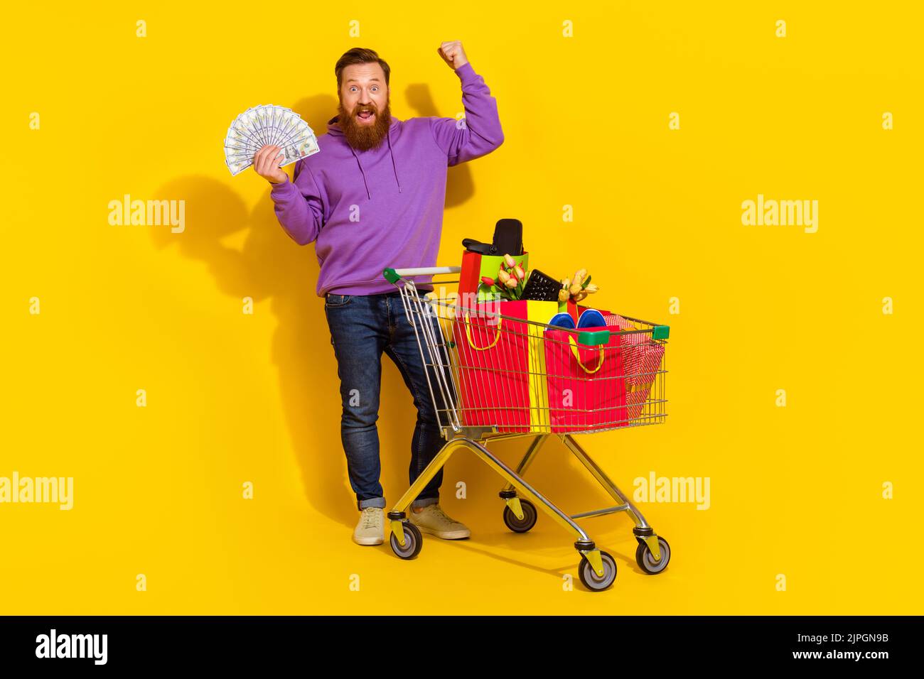 Full length portrait of delighted excited handsome guy raise fist success hold banknotes isolated on yellow color background Stock Photo