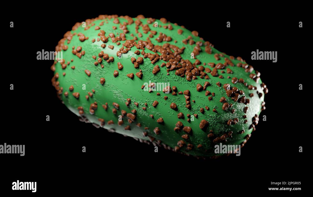 Illustration of a Monkeypox virus cell, vizualisation of an infection Stock Photo