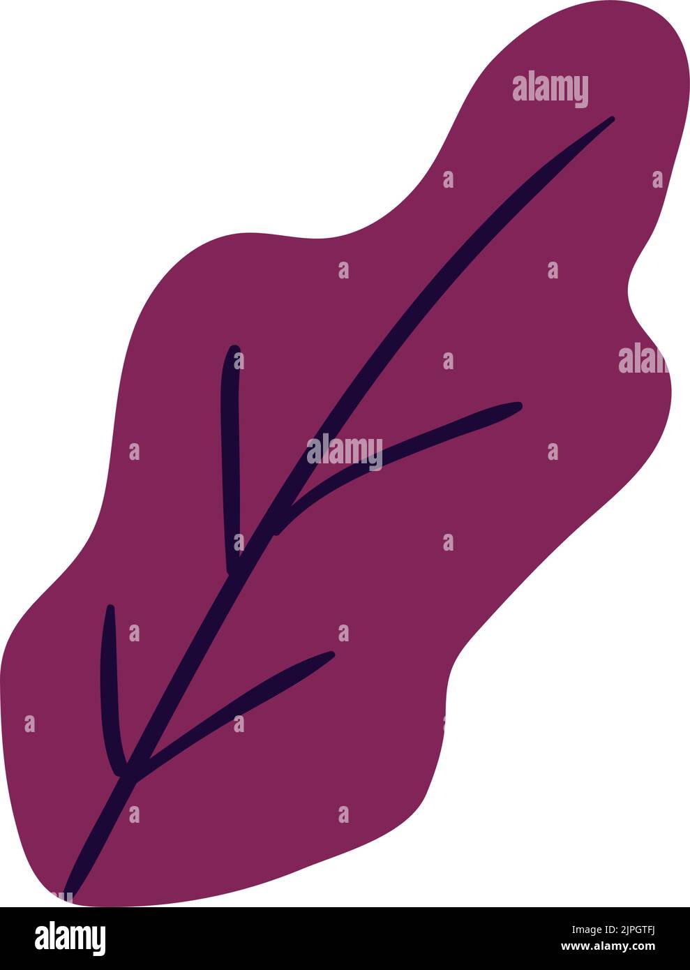 leaf nature icon Stock Vector Image & Art - Alamy