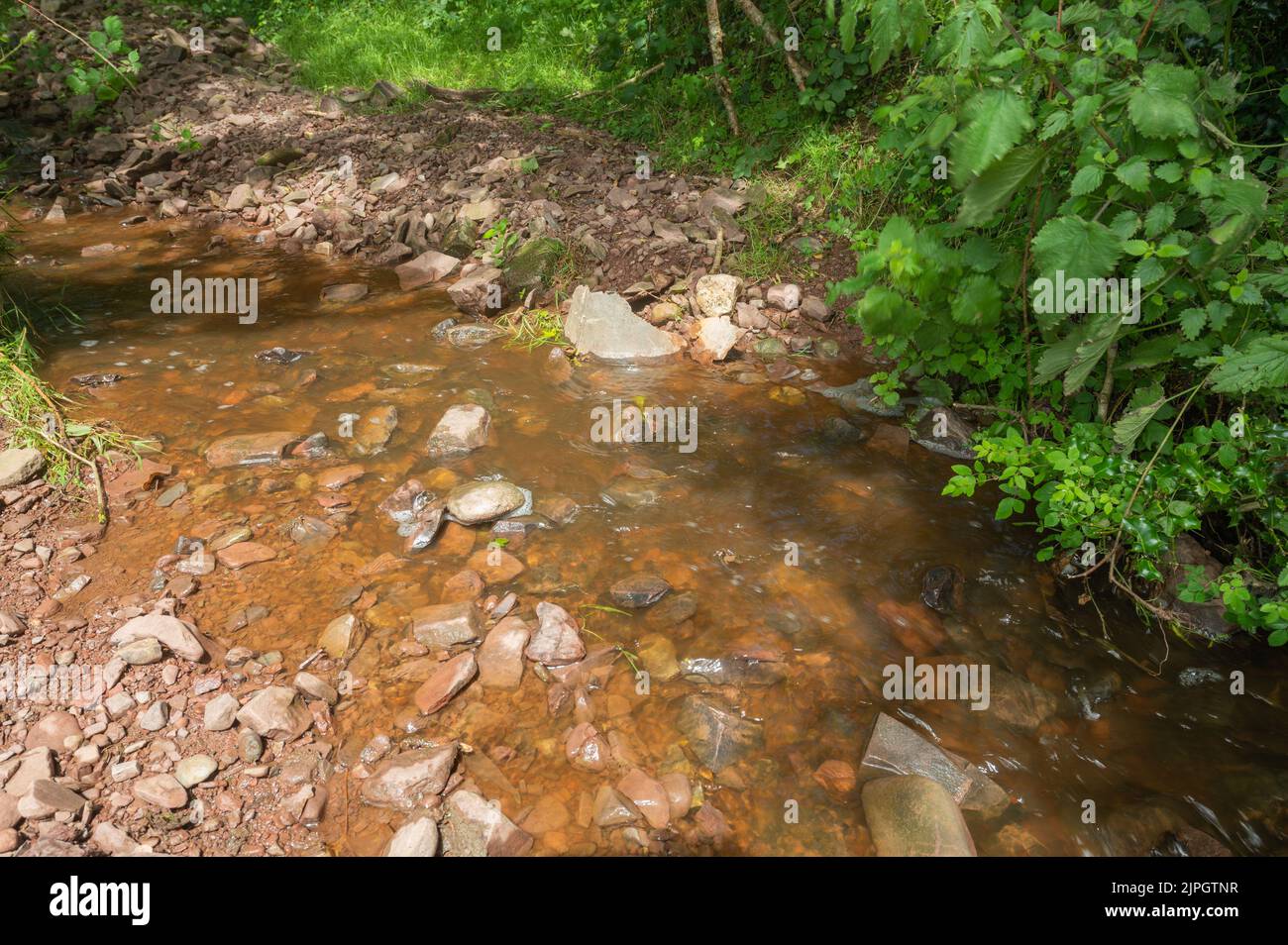 A small tributary filled with farm eflluent  producing brown discolouration and foam after a rainstorm in June 2022 Stock Photo