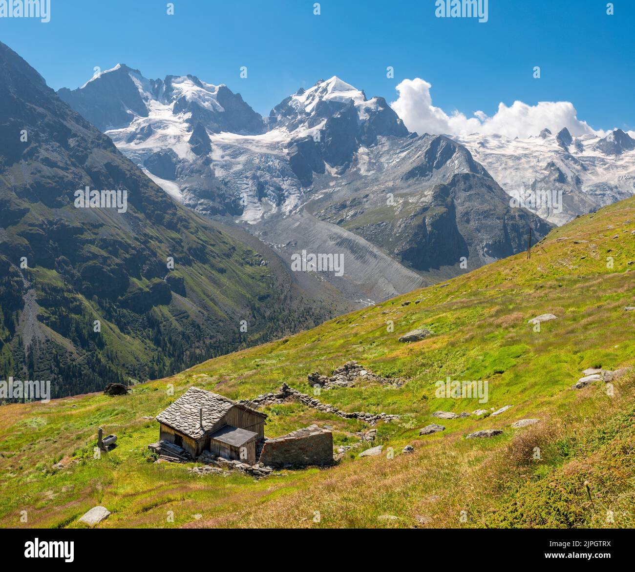 The Piz Bernina and Piz Roseg peaks over the alps meadows. Stock Photo