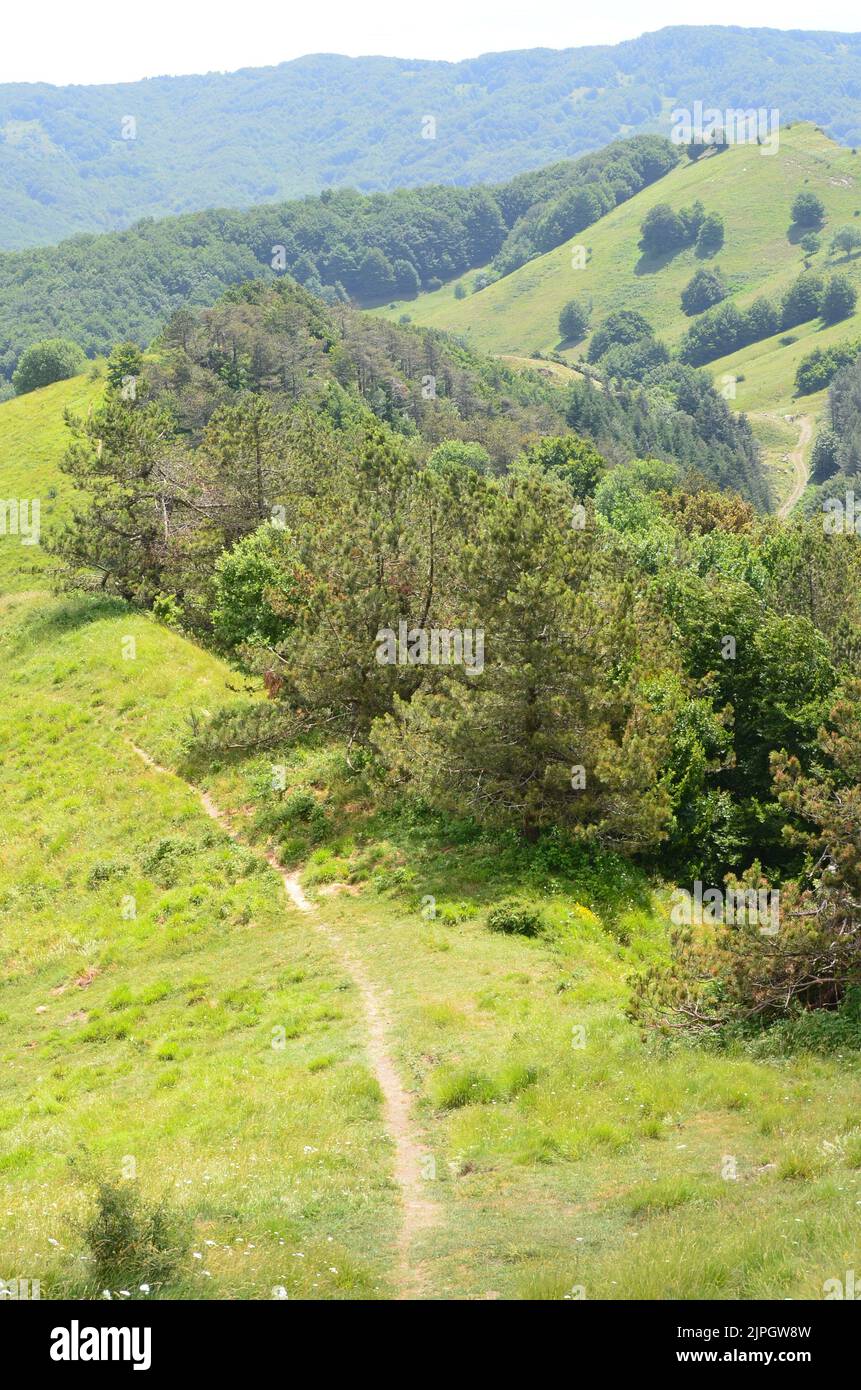 Parco Nazionale dell'Appennino Tosco-Emiliano, a lushly forested and mountainous national park in northern Italy Stock Photo