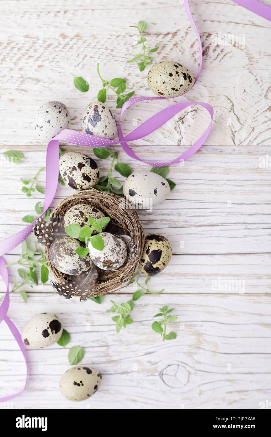 easter, quail, easter decoration, easters, quails, easter decorations Stock Photo