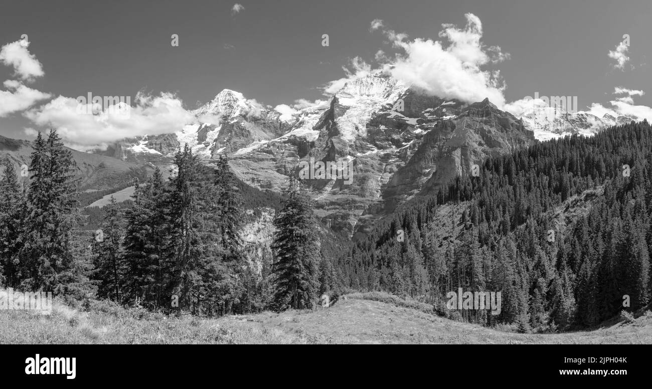 The panorma of Bernese alps with the Jungfrau, Monch and Eiger peaks. Stock Photo