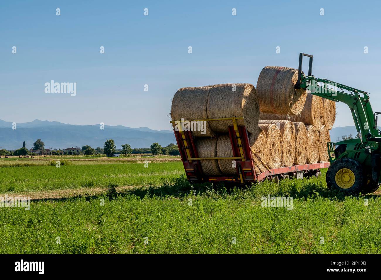 A tractor lifts hay bales to align them on a trailer in the countryside ...
