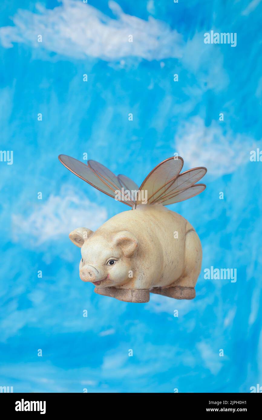Fat piggy bank with insect wings, levitating on blue sky background. When pigs fly concept. Stock Photo