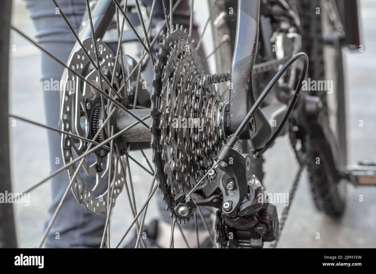 rear wheel of a bicycle, gear sprockets on the wheel Stock Photo Alamy