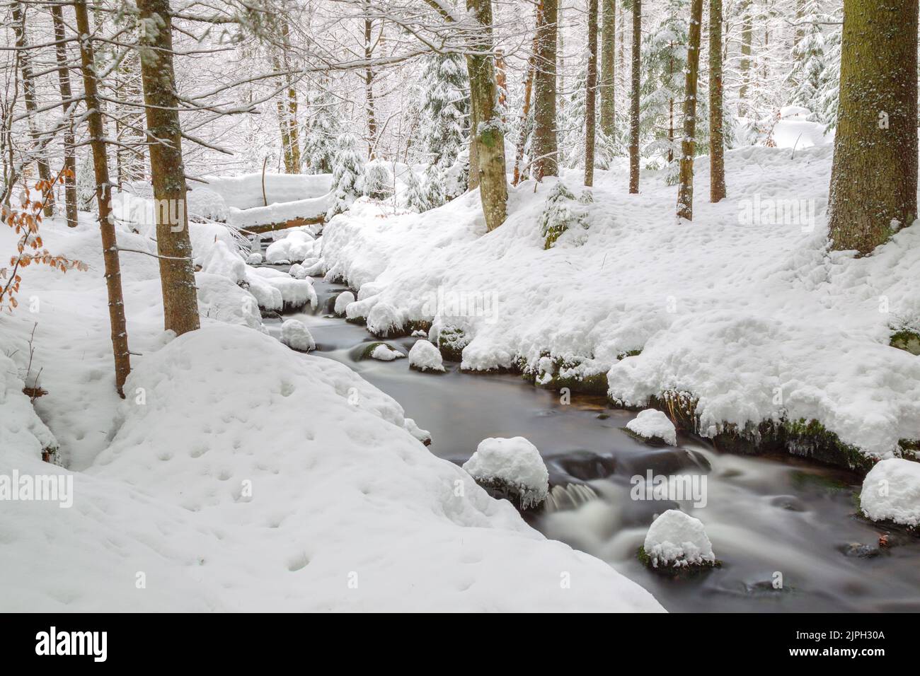 Snowy winter forest river hi-res stock photography and images - Alamy