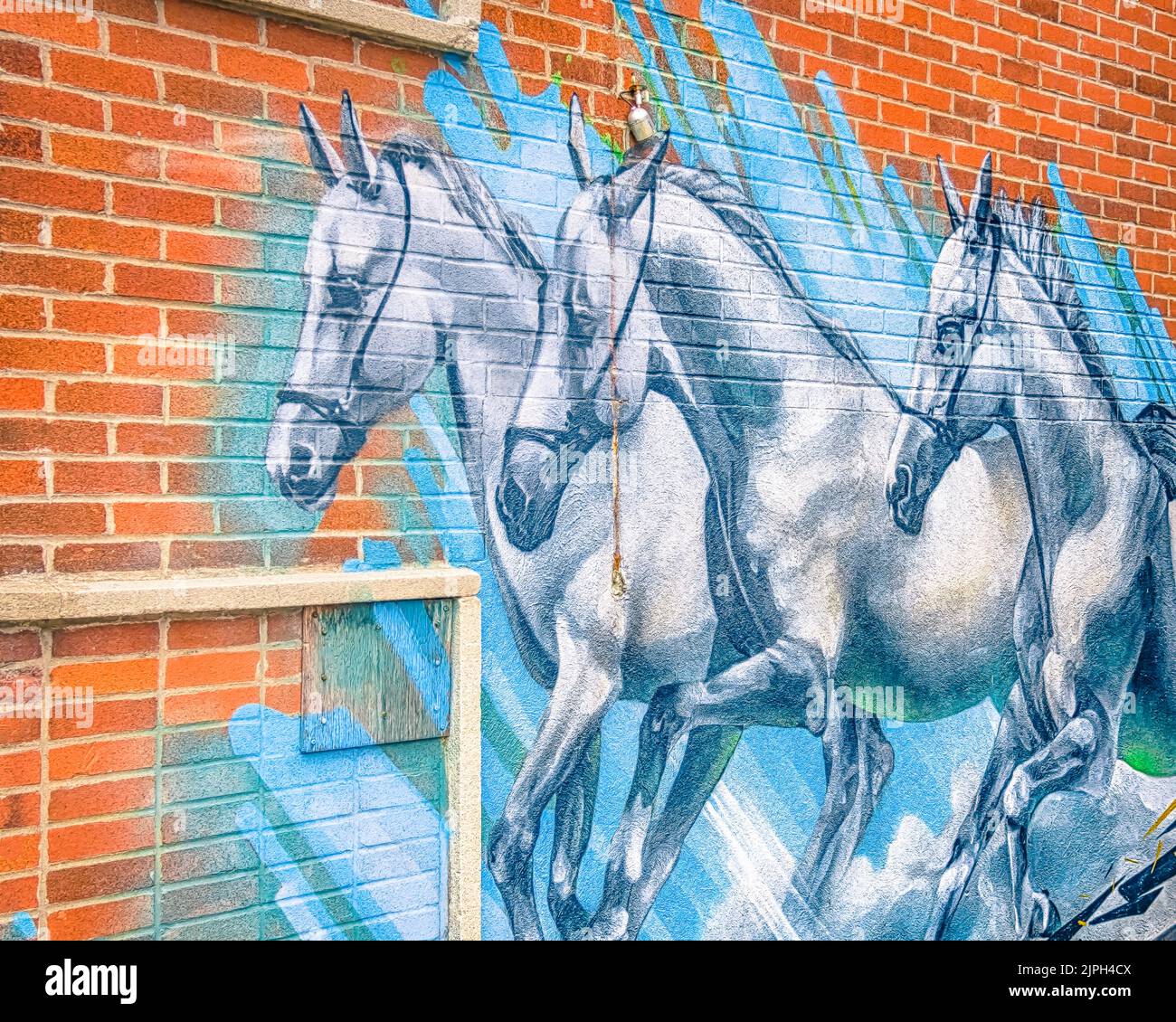 Horses on wall - mural Stock Photo