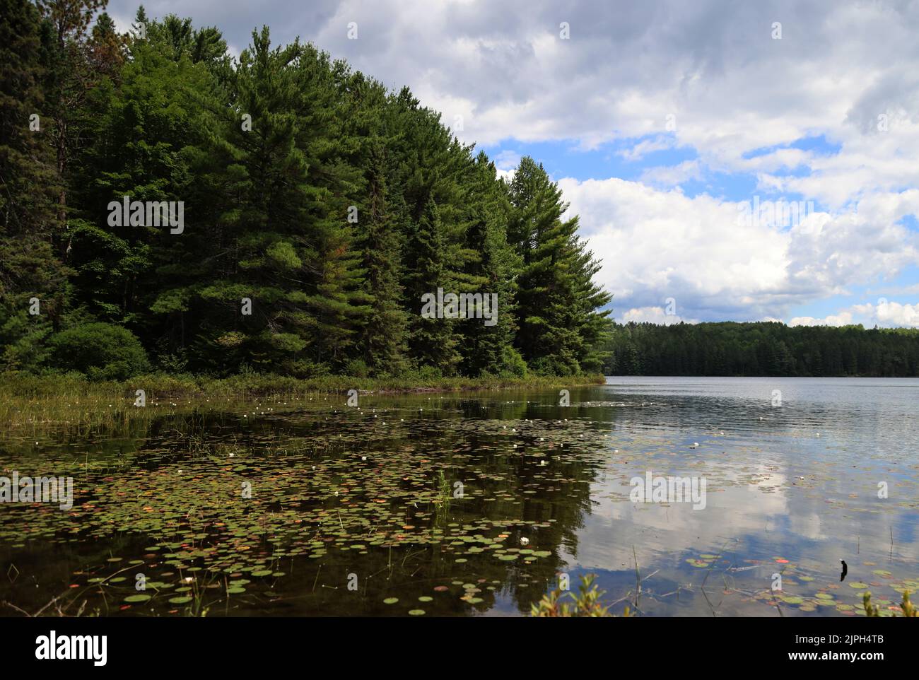 Lake in La Mauricie National Park, Quebec Stock Photo