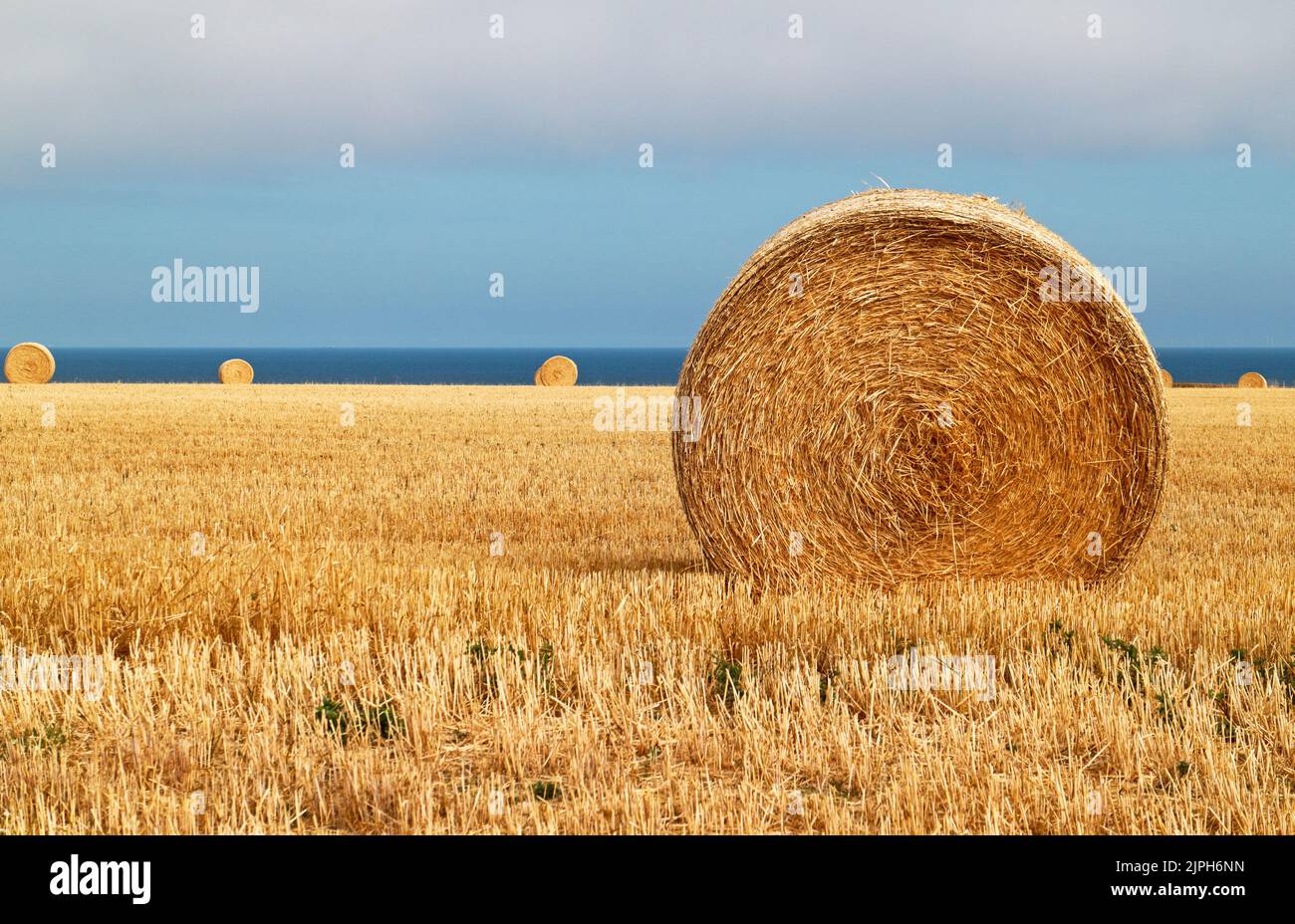 Farmland with round straw bales after crop harvesting in summer on the North Norfolk coast at Salthouse, Norfolk, England, United Kingdom. Stock Photo
