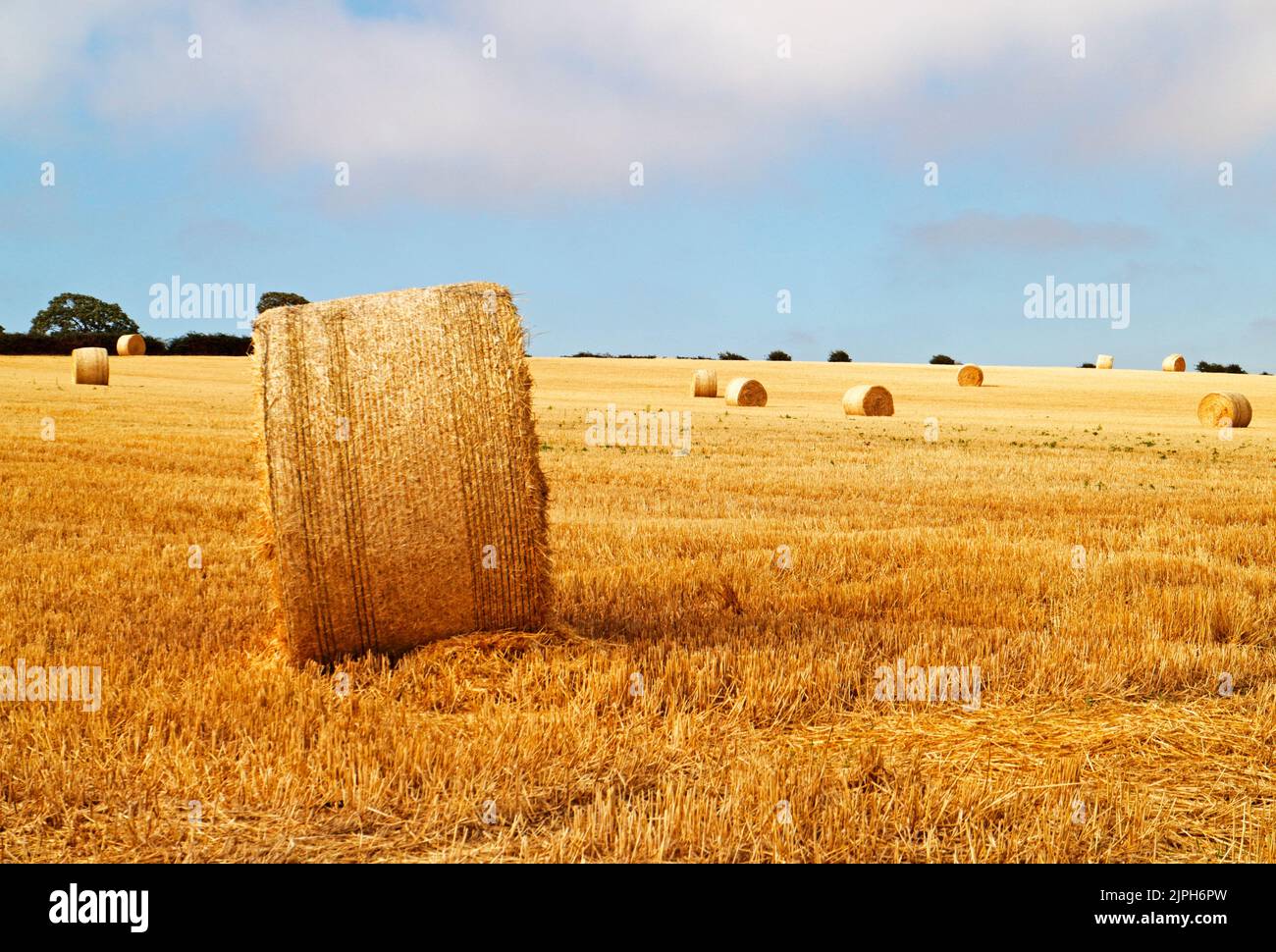 Farmland with round straw bales after crop harvesting in North Norfolk in summer at Salthouse, Norfolk, England, United Kingdom. Stock Photo