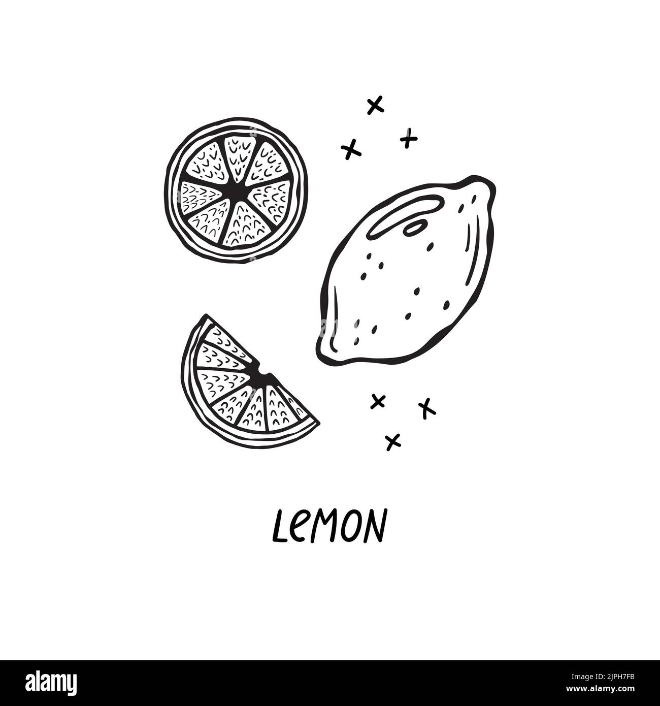 Vector hand-drawn illustration of a product for Italian cuisine.  Lemons Stock Vector