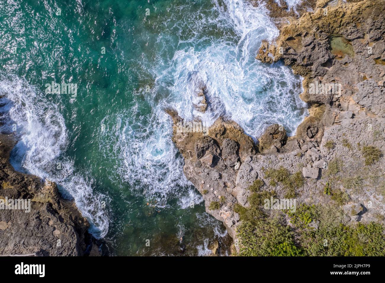 An aerial view of a rocky coast with trees along the blue ocean in a ...