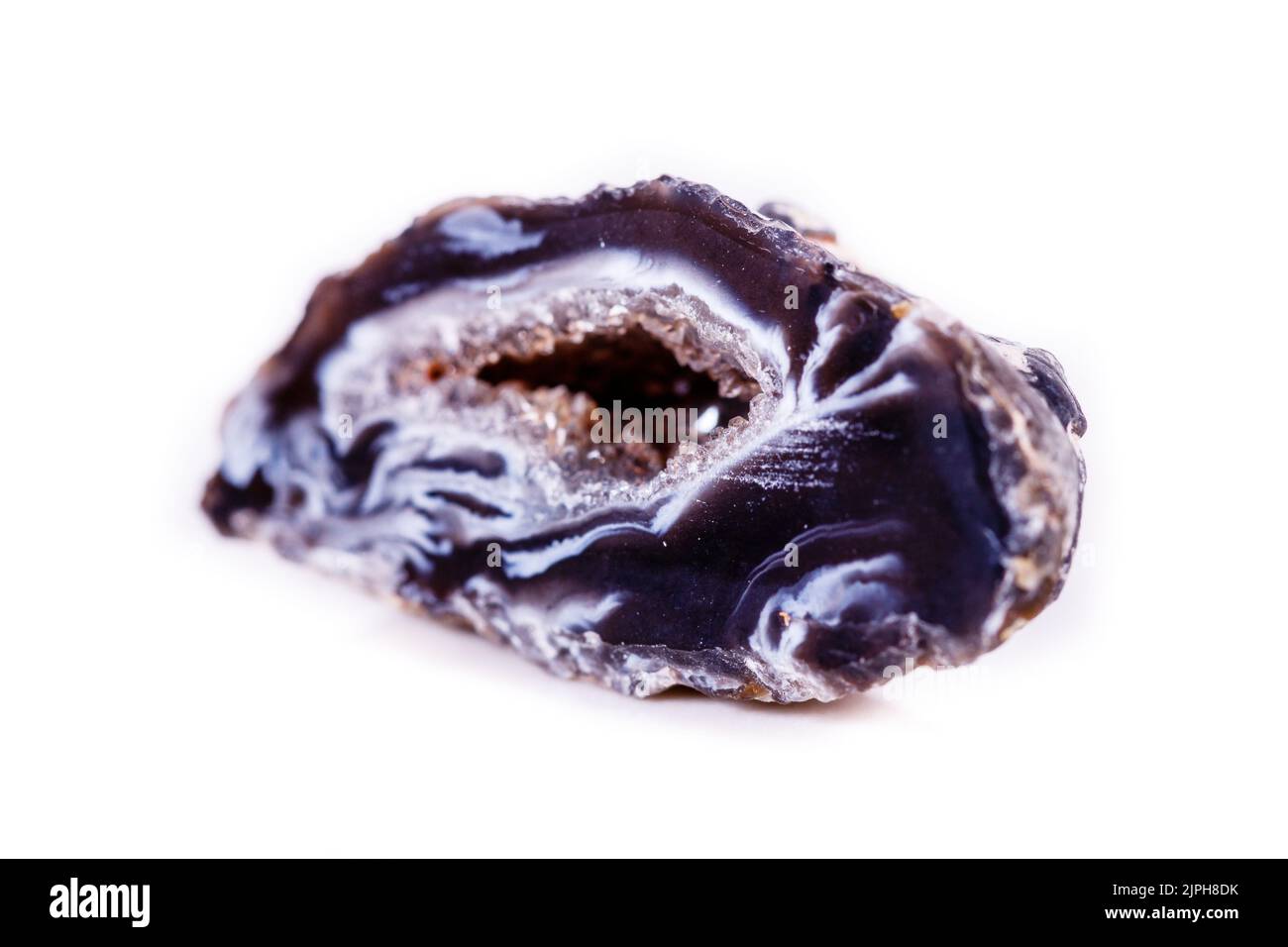 Macro mineral stone agate kidney gerbera on white background close up Stock Photo